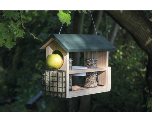 Vogelhaus mit Futterstationen und Apfel, hängend an einem Baum