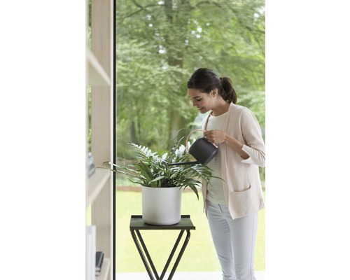 Frau gießt Zimmerpflanze in weißem Topf mit schwarzer Gießkanne auf einem Beistelltisch