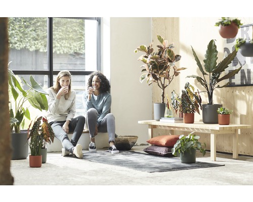 Helles Zimmer mit Frauen, Pflanzen und Pflanzgefäßen