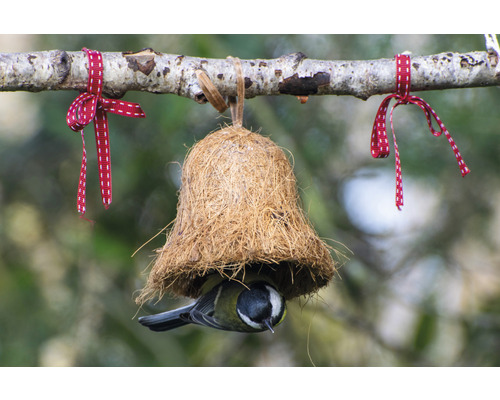Vogel in einem hängenden Futterhaus aus Kokosfasern an einem Ast mit Schleifen