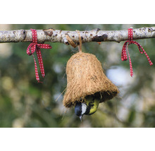 Vogel im Kokosnuss-Vogelhaus, das an einem Ast mit Schleifen hängt