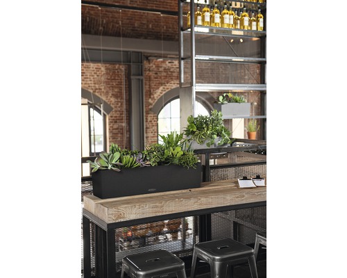 Szene mit einem Pflanzkasten mit verschiedenen Pflanzen auf einem Holztisch in einem Raum mit industriellem Design
