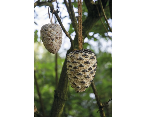 Zwei Zapfen mit Vogelfutter hängen an einem Baum