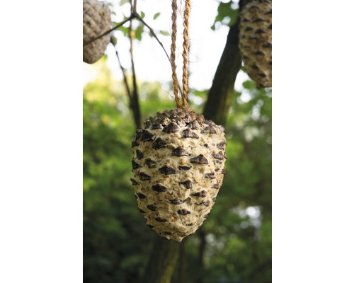 Zapfenförmiges Vogelfutter mit Aufhängeschnur im Garten.