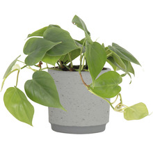 Übertopf Artevasi Néria Keramik Ø 29 cm H 26 cm grau