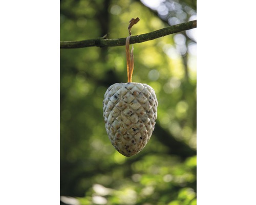 Zapfenförmiges Vogelfutter hängt an einem Ast