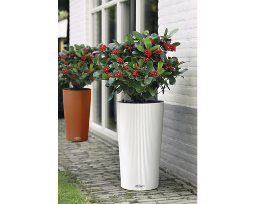 Zwei Pflanzenkübel mit Bepflanzung stehen vor einem Gebäude.