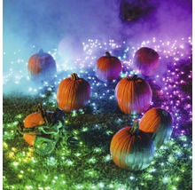 Halloween-Szene mit Kürbissen und dekorativer Beleuchtung im Garten.