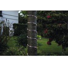 Dekorativer Lichtschlauch um einen Baum im Garten gewickelt.