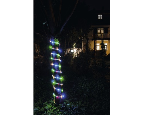 Baumstamm mit farbiger Lichterkette im Garten bei Nacht