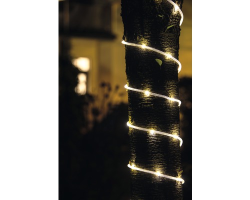 Baumstamm mit Lichterkette im Garten