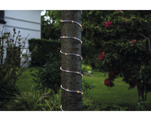 Lichterkette spiralförmig um Baumstamm im Garten gewickelt