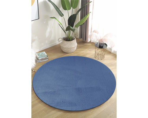 Blauer runder Teppich im Raum mit Pflanze und Beistelltisch.