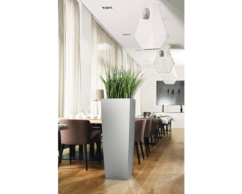 Hoher, quadratischer Pflanzkübel mit Grünpflanze in einem hellen Raum