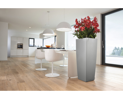 Helles Zimmer mit Esstisch, Stühlen, Küche und Pflanzgefäß mit Blumen