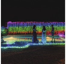 Gartenparty am Pool mit farbiger Lichterkette an der Hecke