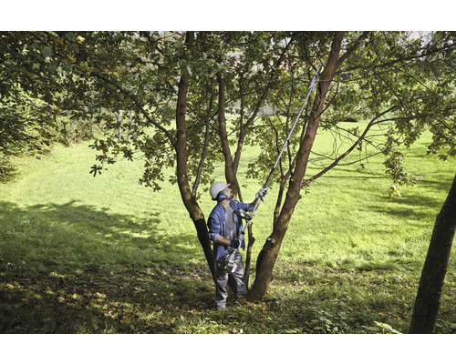Person, die einen Hochentaster zum Beschneiden eines Baumes in einem Garten verwendet.