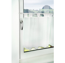 Fenster mit Bistrogardine