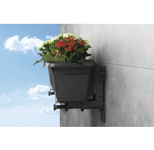 Blumenkasten mit Halterung an einer Wand montiert, bepflanzt mit roten und weißen Blüten