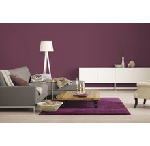 Alpina Wandfarbe Farbrezepte Sinfonie 1 l-thumb-2 Alpina Wandfarbe Farbrezepte Sinfonie 1 l-thumb-2