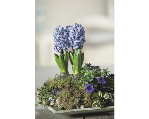 Arrangement mit Hyazinthen und anderen Frühlingsblumen in einer Schale.