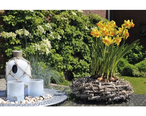 Dekoration mit gelben Narzissen in einem Holznest, Windlichter und einer Dekoflasche auf einem Tisch im Garten.
