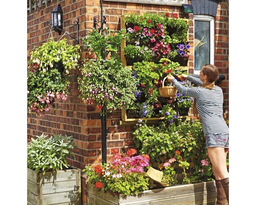 Gestaltungsideen für eine Fassadenbegrünung mit Blumenkästen und Hängepflanzen