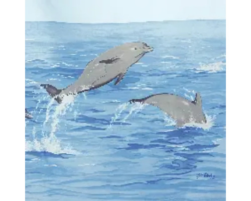 Illustration von Delfinen, die im Meer springen