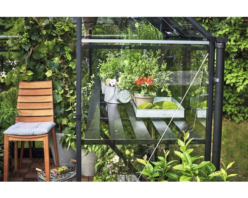 Gewächshaus mit Pflanzen auf einem Regal, umgeben von Gartenvegetation