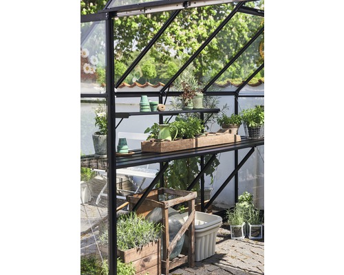 Gewächshaus mit Regalen und verschiedenen Pflanzenbehältern.