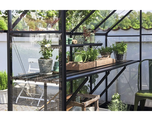 Gewächshaus mit Regalen und Pflanzen