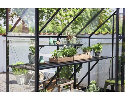 Gewächshaus mit Regalen und Pflanzen in Töpfen