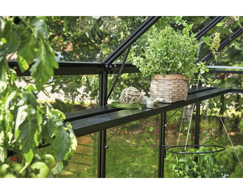 Regal JULIANA Orangerie integriert 15,1 m² 432 x 19,5 cm schwarz