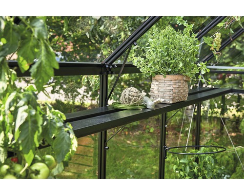 Lamellen-Regal JULIANA integriert 4 Sektionen 289 x 19,5 cm schwarz Gewächshausinneneinrichtung mit Regalen, Pflanzgefäßen und Pflanzen