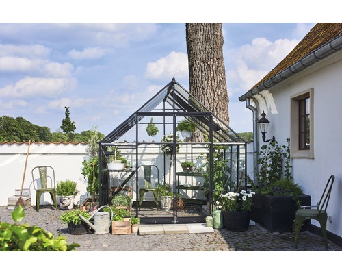 Gewächshaus mit Pflanzen und Gartenaccessoires im Aussenbereich.