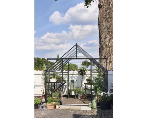 Gewächshaus mit Pflanzen und Gartenwerkzeugen vor weißer Wand