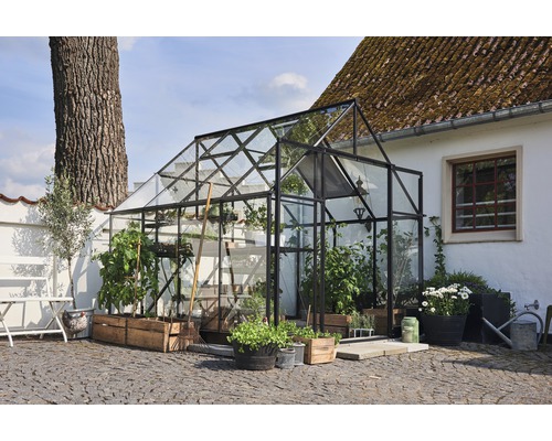 Gewächshaus mit Pflanzen in einem Garten