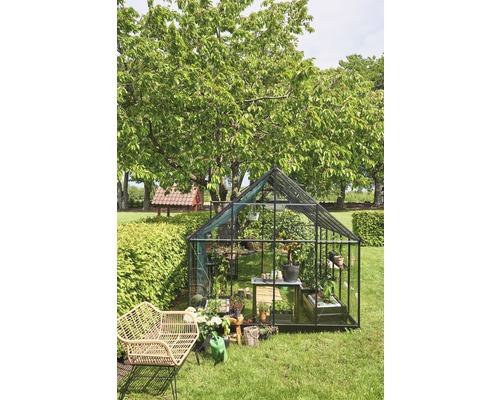 Gewächshaus im Garten mit Pflanzen und Gartenmöbeln