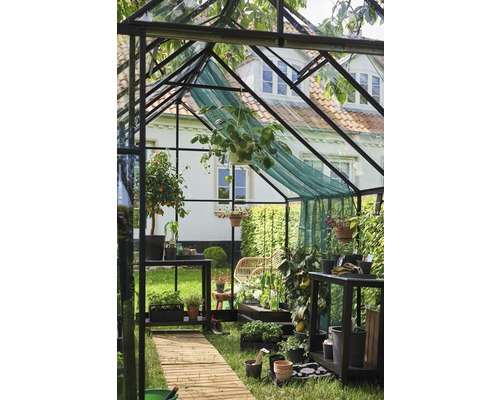 Gewächshaus mit Pflanzen, Regalen und Holzweg