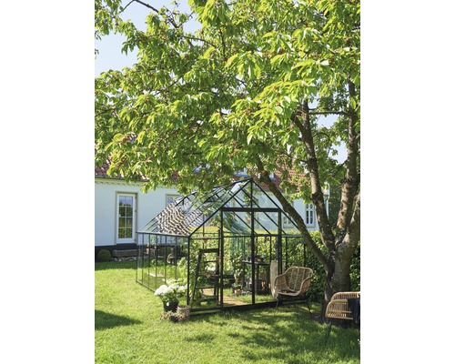 Gewächshaus im Garten mit Pflanzen, Stühlen und Baum.