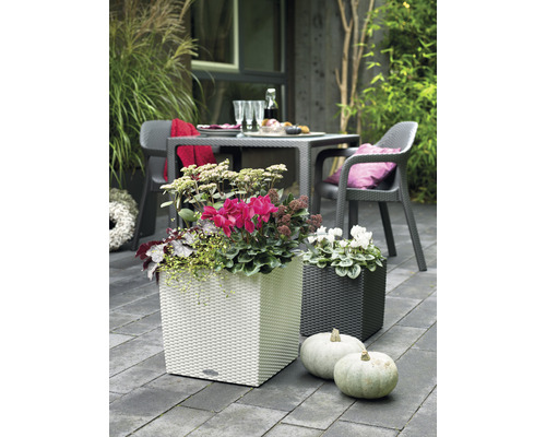 Dekorative Gartenszene mit weißen und dunklen Pflanzkästen, bepflanzt mit Blumen, und Kürbissen im Vordergrund.