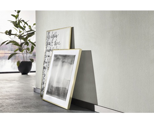 Zwei gerahmte Bilder stehen an einer hellen Wand, neben einer Zimmerpflanze.