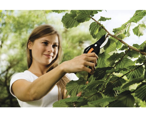 Eine Frau schneidet mit einer Gartenschere einen Ast