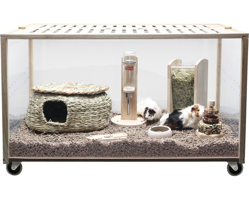 Kleintierstall mit Zubehör und Meerschweinchen