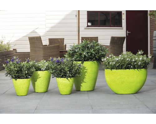 Reihe von Pflanzgefäßen aus Kunststoff mit Bepflanzung im Außenbereich