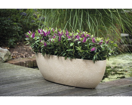 Ovaler Pflanzkübel mit blühenden Pflanzen im Garten.