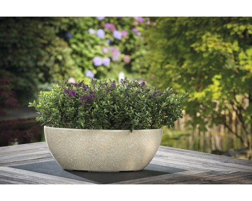 Pflanzgefäß mit Bepflanzung auf Gartentisch