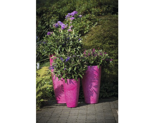 Drei bepflanzte Pflanzkübel im Garten