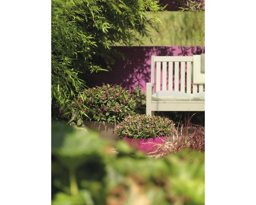 Szene im Garten mit Bank, Pflanzen und dekorativen Blumentöpfen