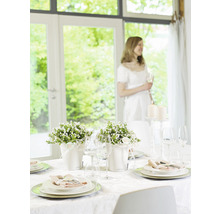 Festlich gedeckter Tisch mit Blumenarrangements und Kerzen für eine besondere Gelegenheit.